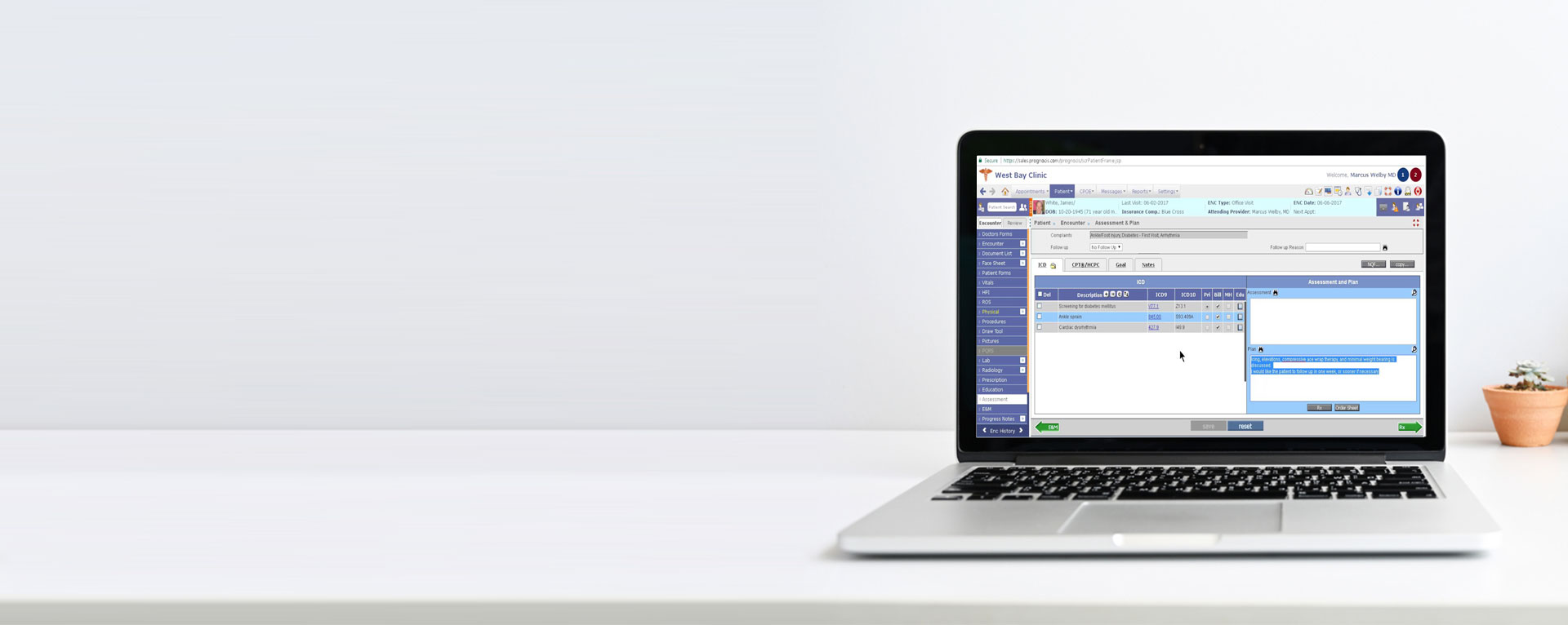 progncis rcm services