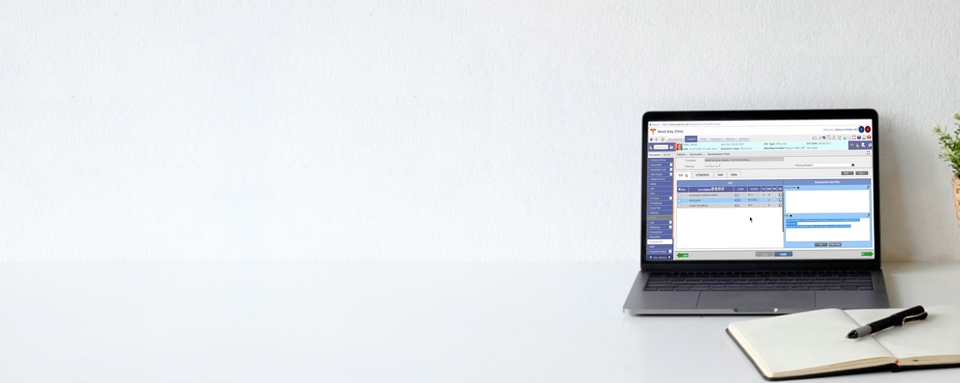 PrognoCIS ar management